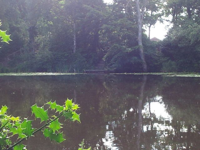 wpid-wp-1372870279291.jpg