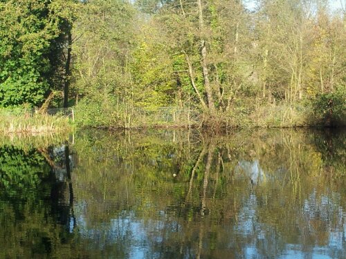 20131115_105350.jpg image