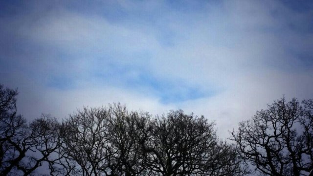 1390744394669.jpg image