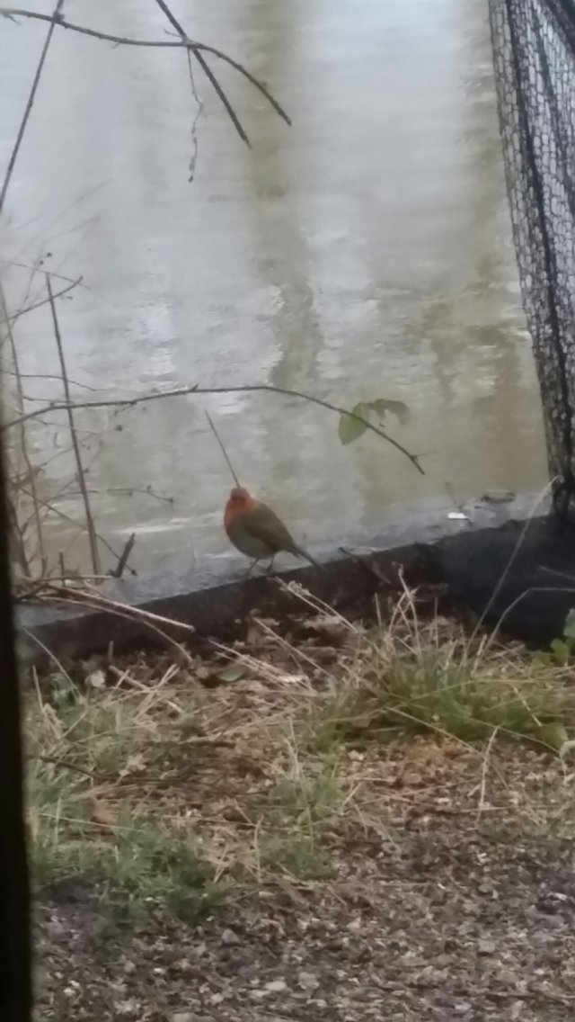 20140125_161338.jpg image