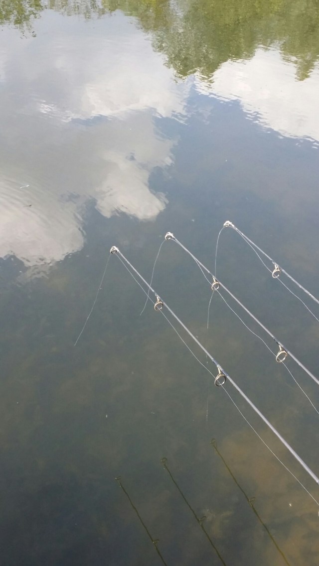 20140621_165348.jpg image