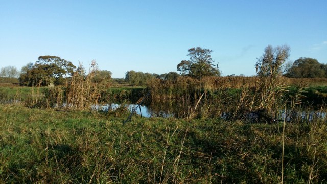 20141101_082229.jpg image