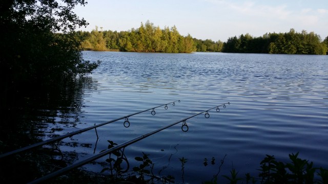 20150604_195220.jpg image