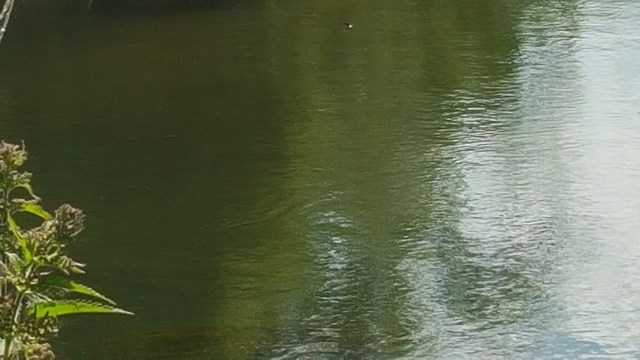 20150618_100512.jpg image