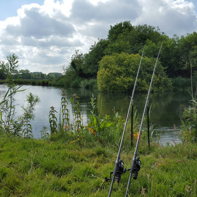 IMG_20150618_095817.jpg image