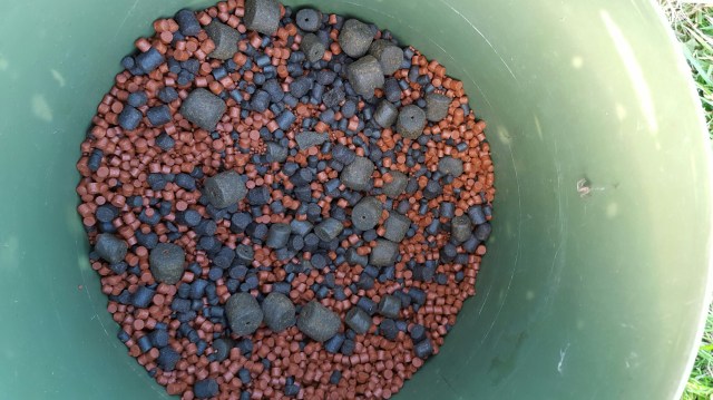 wp-1434480910456 image