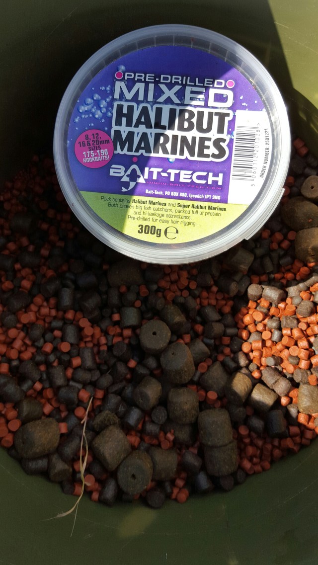 wp-1434619406015 image