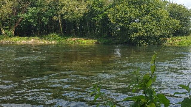 20150709_101250.jpg image