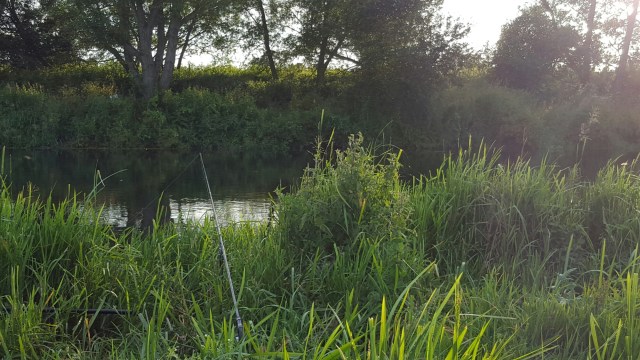 20150721_195501.jpg image