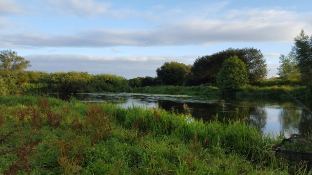 20150721_195711.jpg image