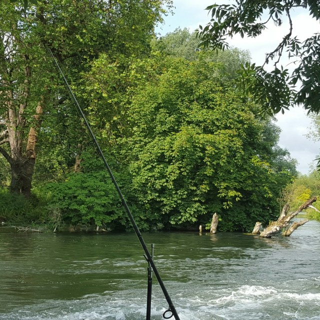 IMG_20150709_101925.jpg image