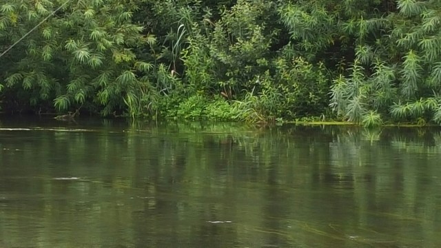 20150831_144410.jpg image