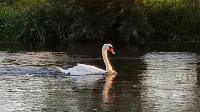 20150902_192700.jpg image