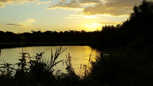 20150902_193100.jpg image