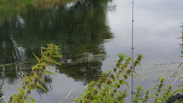 20150904_095220.jpg image