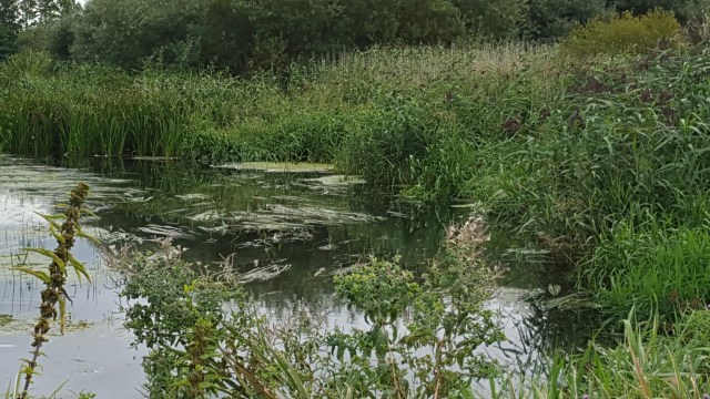 20150904_095232.jpg image