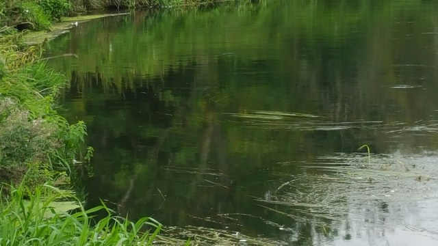 20150904_095401.jpg image