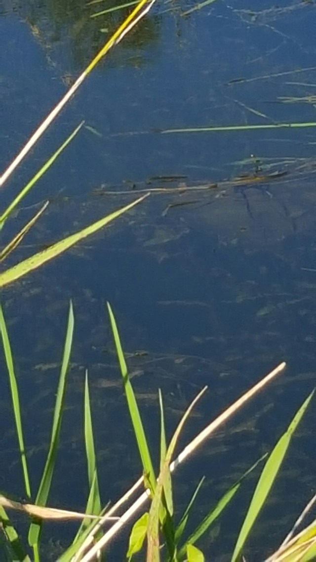 20150906_144917.jpg image