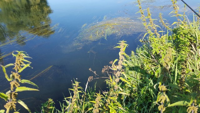 20150906_155015.jpg image