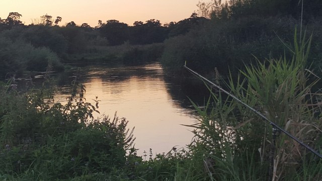 20150906_194455.jpg image