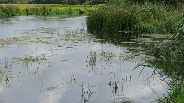 20150909_114412.jpg image