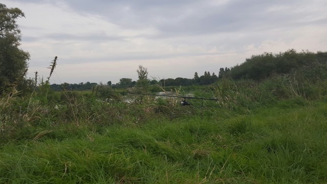 20150911_185211.jpg image