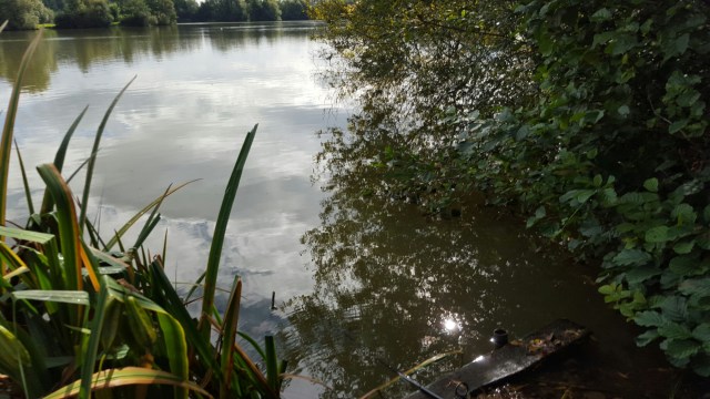 20150915_110100.jpg image