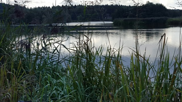 20150918_113359.jpg image