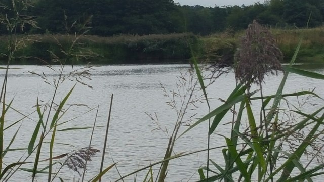 20150921_103132.jpg image