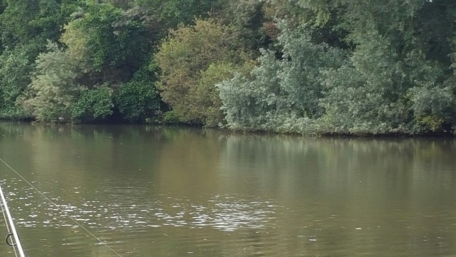 20150922_101100.jpg image