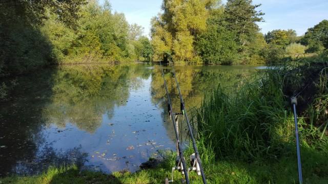 20150929_095447.jpg image