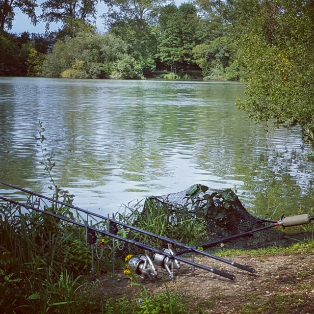 IMG_20150913_151322.jpg image