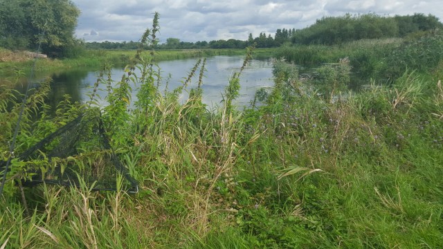 wp-1441366988150 image