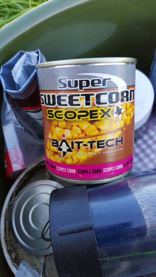 wp-1441554378182 image