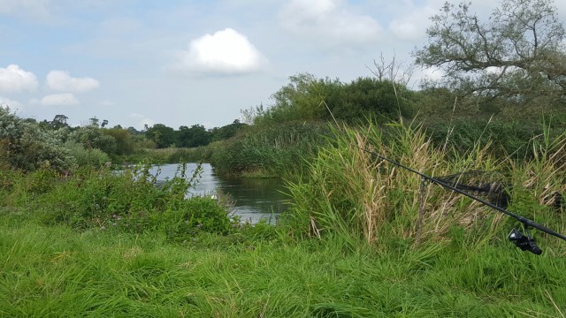 wp-1441794396707.jpg image