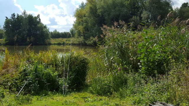 wp-1442573781687 image