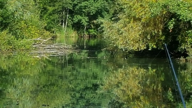 wp-1443518449744.jpg image