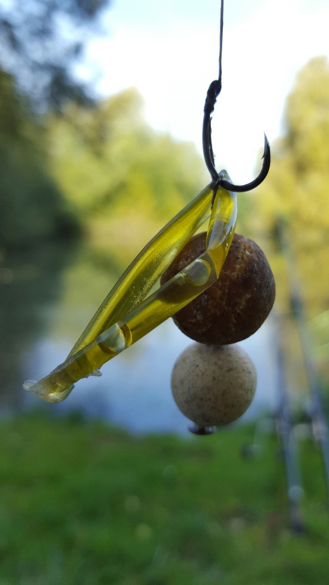 20150929_102351.jpg image