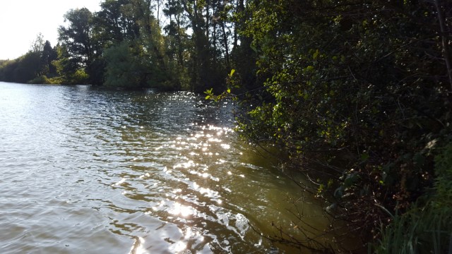 20151001_101804.jpg image