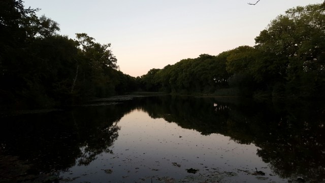 20151001_185323(0).jpg image