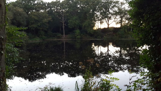 20151001_185518(0).jpg image