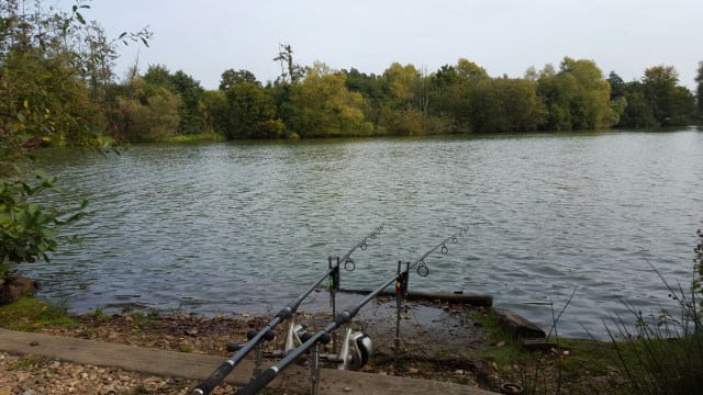 20151004_144352.jpg image