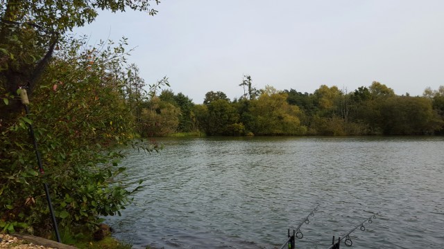 20151004_144403.jpg image