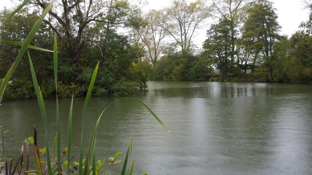 20151006_101406.jpg image