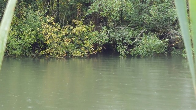 20151006_101815.jpg image