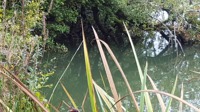 20151007_095308.jpg image