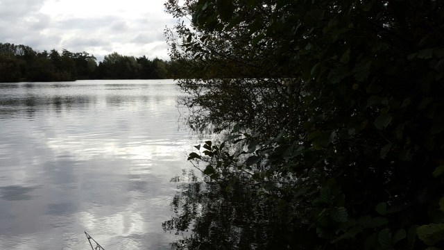 20151007_095316.jpg image