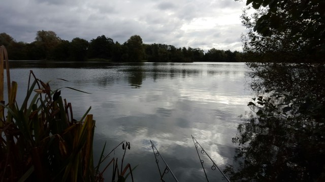 20151007_095321.jpg image