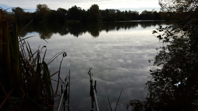 20151008_095354.jpg image