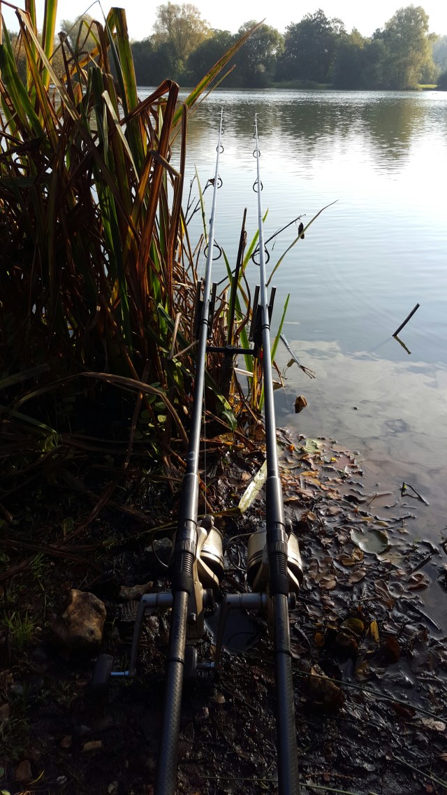 20151015_094918.jpg image